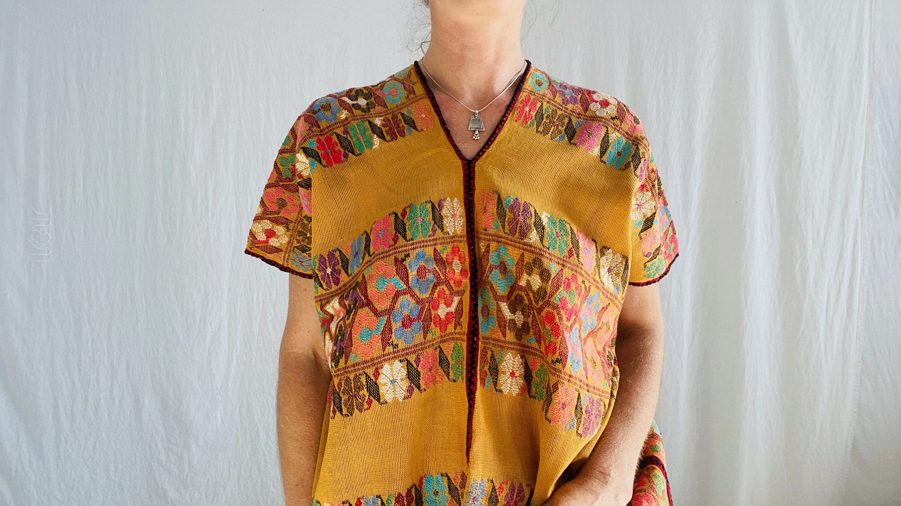 Hand Woven Amuzgo Huipil Dress. Guerrero, Mexico. Coyuchi. 0124